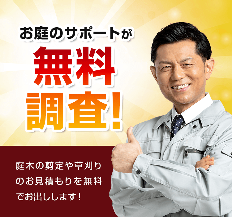 お庭のサポートが無料調査!庭木の剪定や草刈りのお見積りを無料でお出しします!