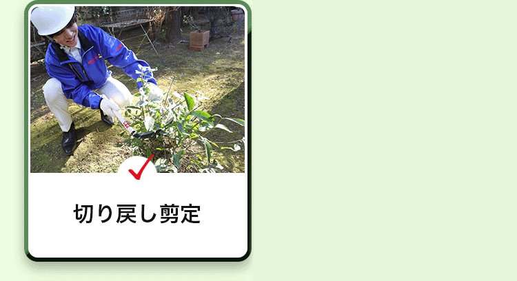 庭木の剪定作業 不要な木の伐根作業 伸びすぎた草を刈る草刈り作業 害虫や植物の病気を予防する消毒作業 など