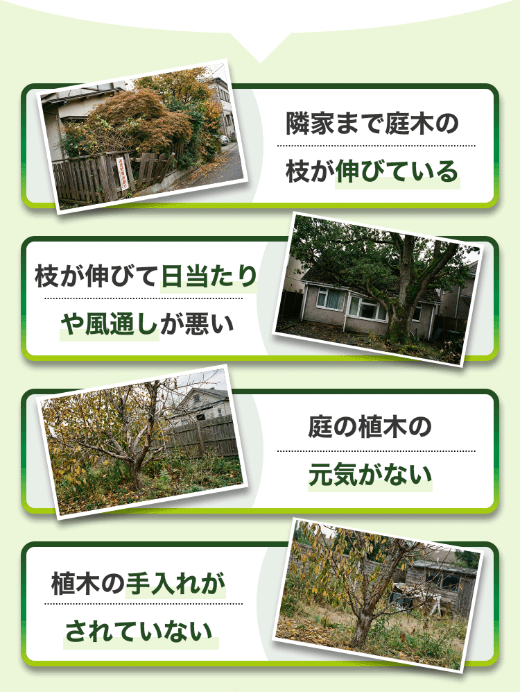雑草が生い茂っている 枝が伸びすぎて見た目が悪い 敷地から庭木の枝がはみ出ている 楽に手入れをしたい おしゃれな庭にしたい